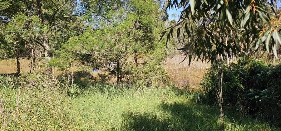 0 Bedroom Property for Sale in Swellendam Western Cape